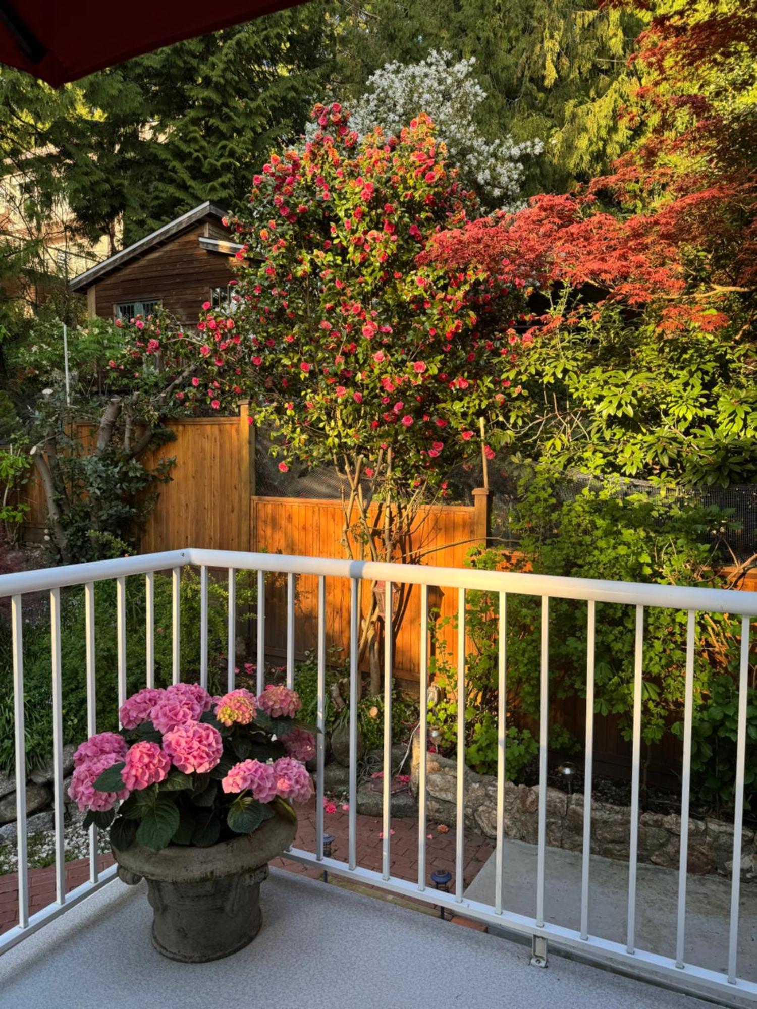 Beautiful Modern Suite 北温哥华 外观 照片
